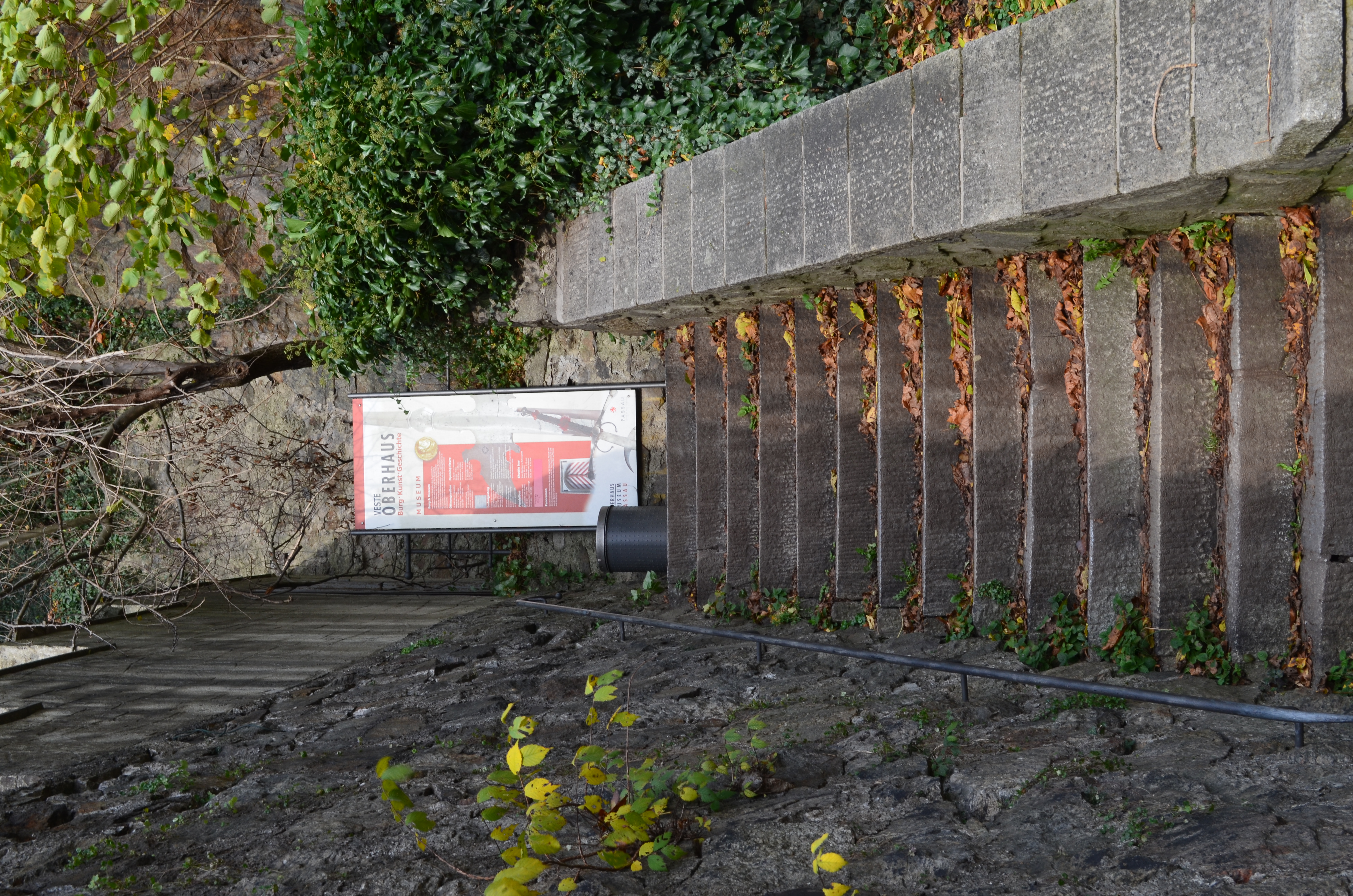 ./2017/19 - Viking Lif/04 - Passau, Germany/DSC_10037.JPG